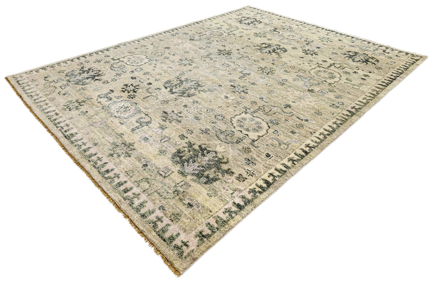 Amira OU-1066