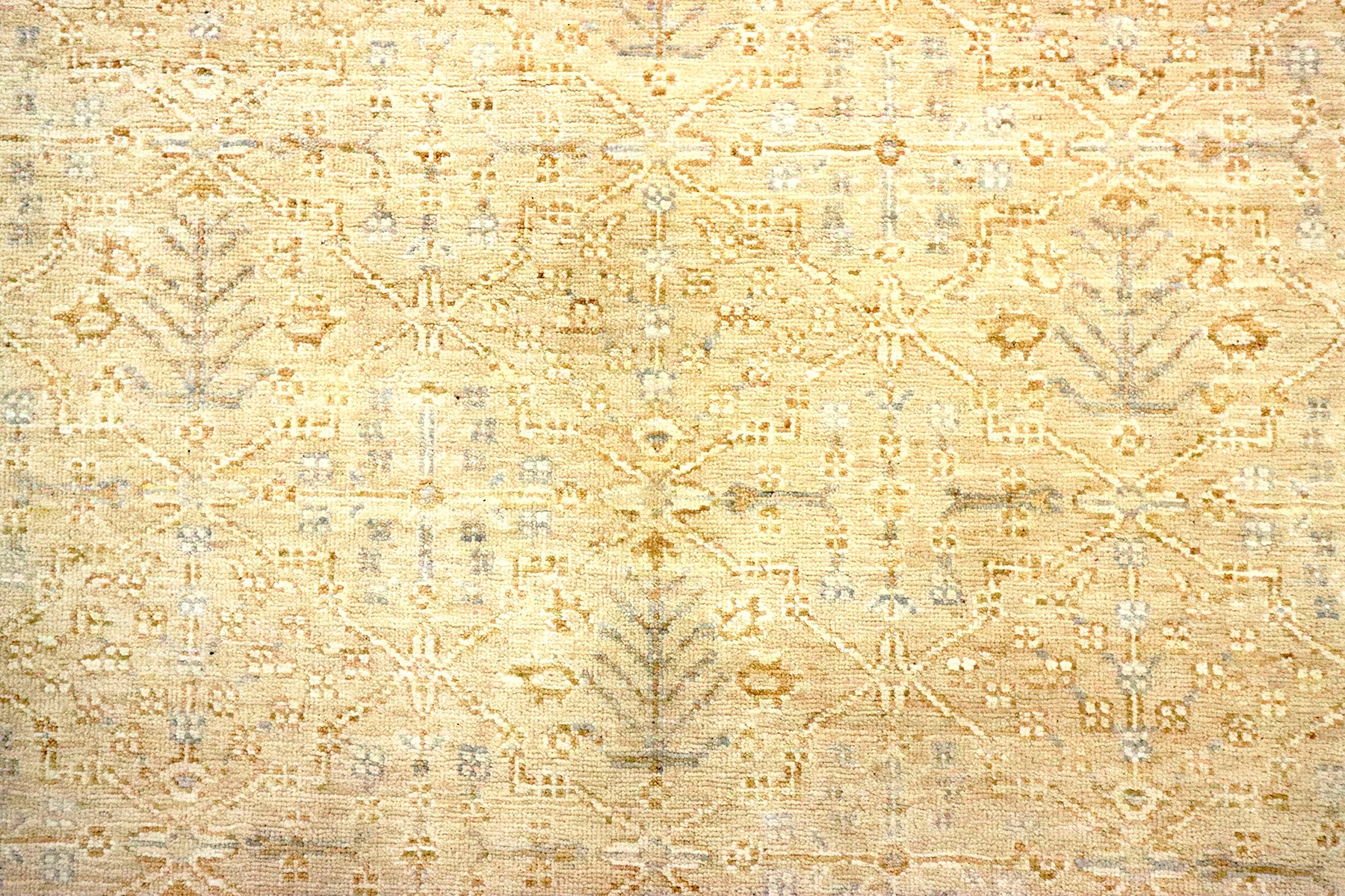 Amira RE-2122