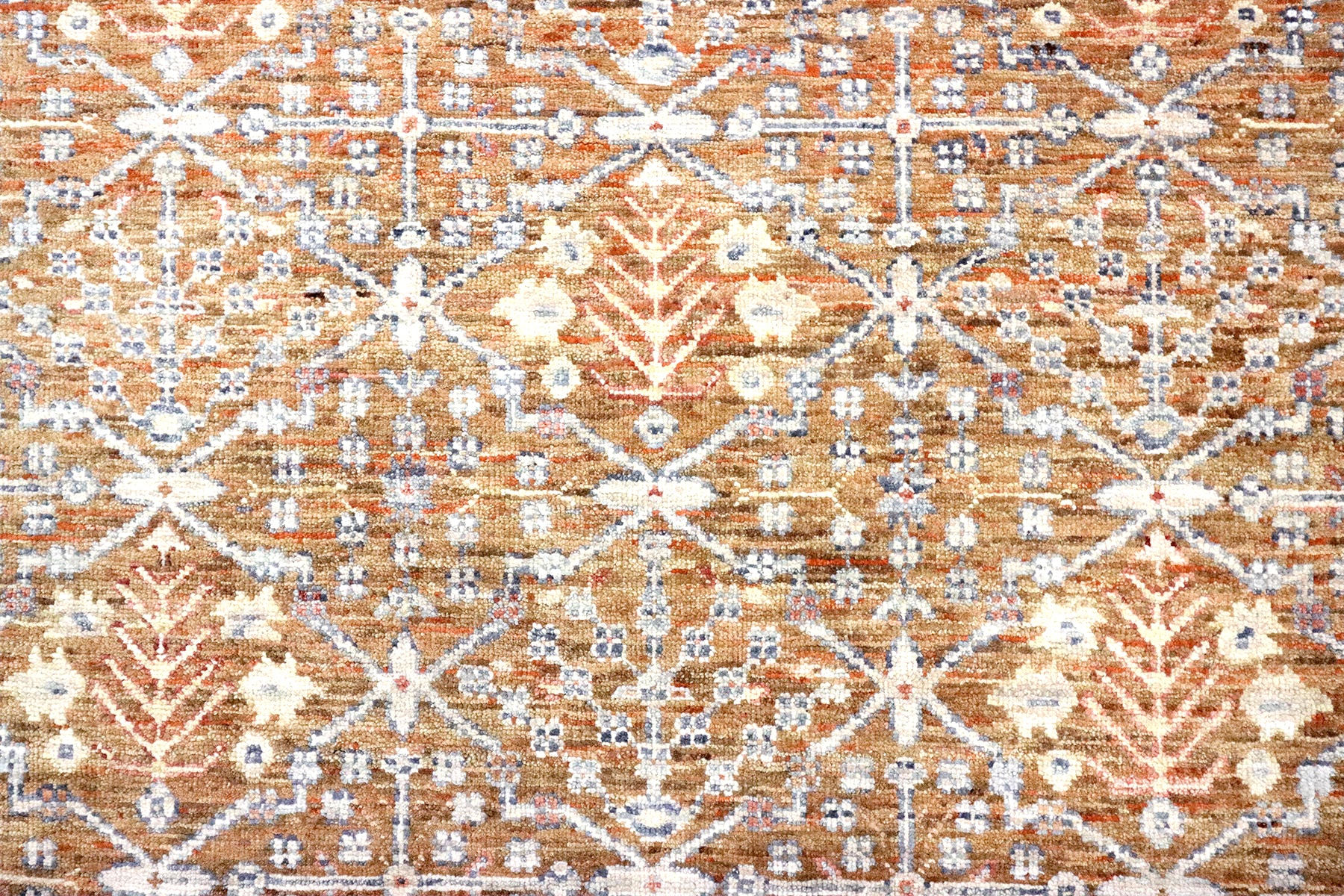 Amira RE-2119