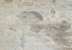 Elysian PR-1199