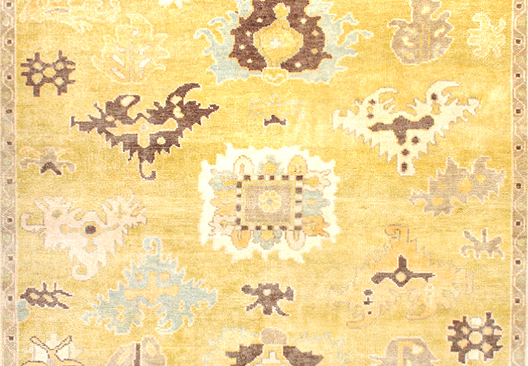Amira OU-2219