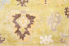 Amira OU-1052