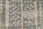 Amira CY-1079