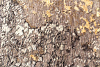 Alchemy IM-1977