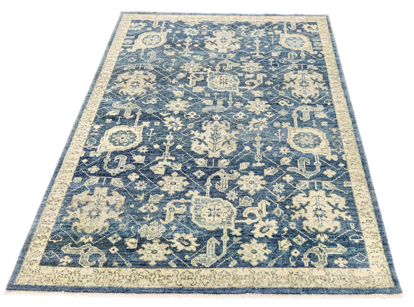 Amira OU-1134