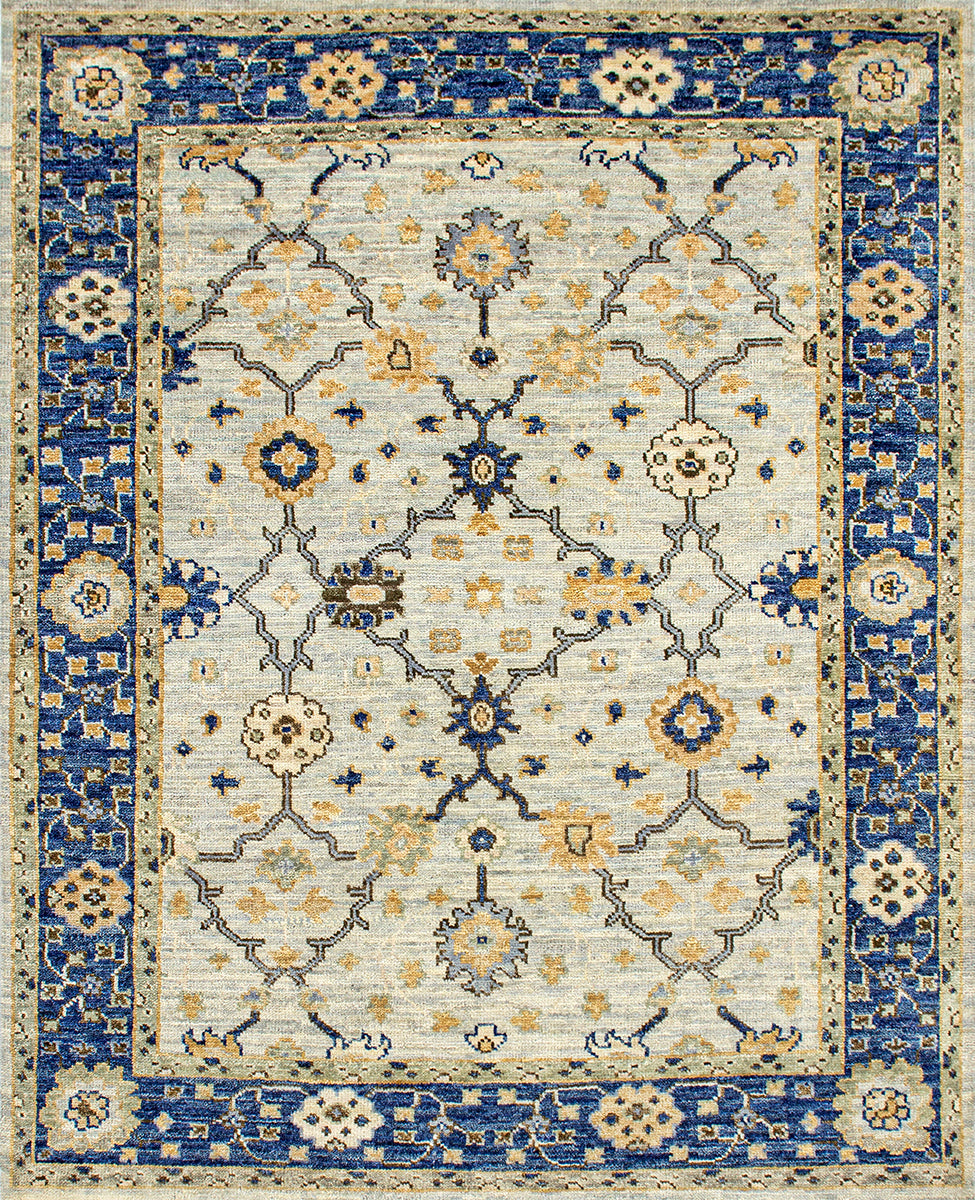 Amira OU-1138