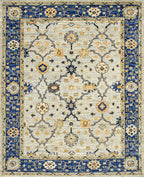 Amira OU-1138